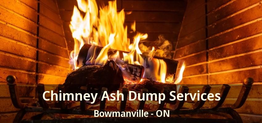 Chimney Ash Dump Services Bowmanville - ON