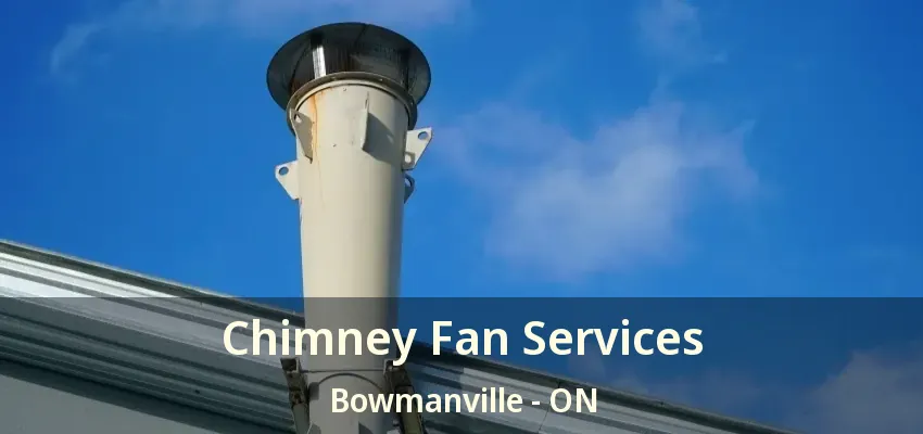 Chimney Fan Services Bowmanville - ON