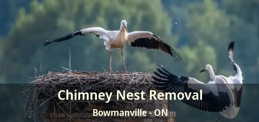 Chimney Nest Removal Bowmanville - ON