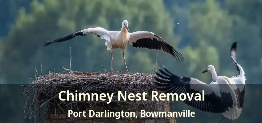 Chimney Nest Removal Port Darlington, Bowmanville - ON