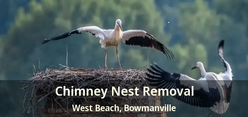 Chimney Nest Removal West Beach, Bowmanville - ON