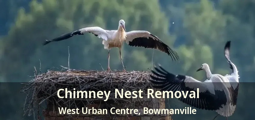 Chimney Nest Removal West Urban Centre, Bowmanville - ON