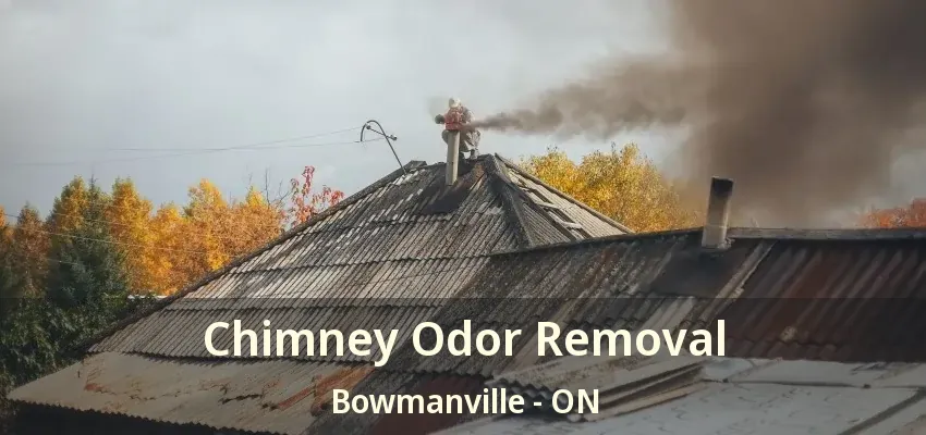 Chimney Odor Removal Bowmanville - ON