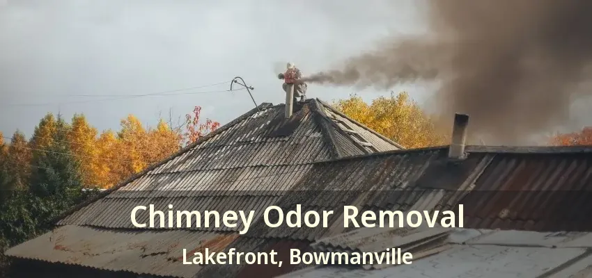 Chimney Odor Removal Lakefront, Bowmanville - ON