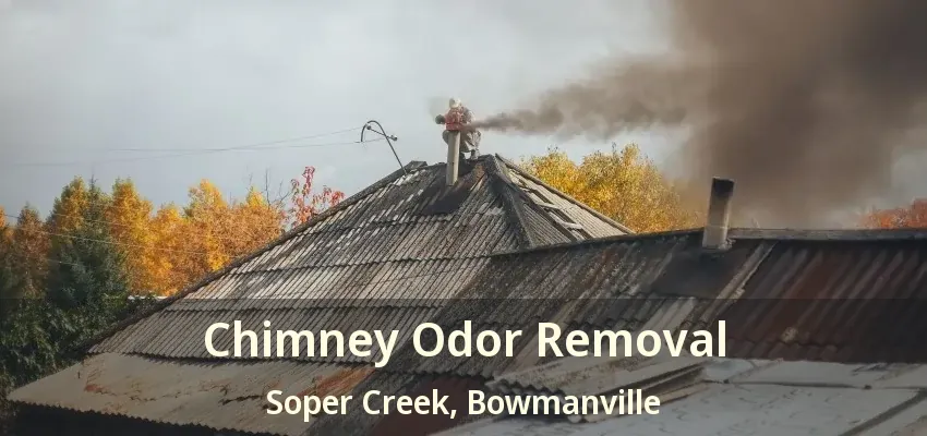 Chimney Odor Removal Soper Creek, Bowmanville - ON