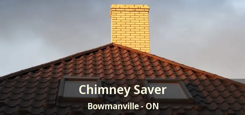 Chimney Saver Bowmanville - ON