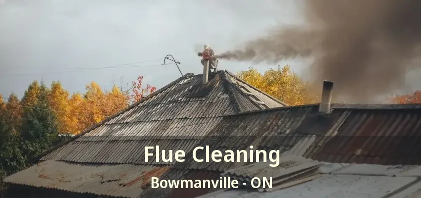 Flue Cleaning Bowmanville - ON