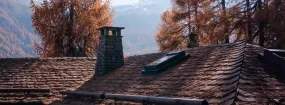 Chimney Animal Removal Bowmanville